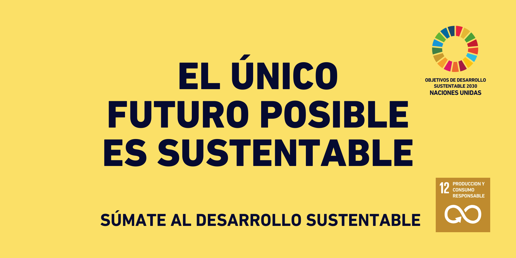 Qué son los Objetivos de Desarrollo Sustentable de Naciones Unidas?